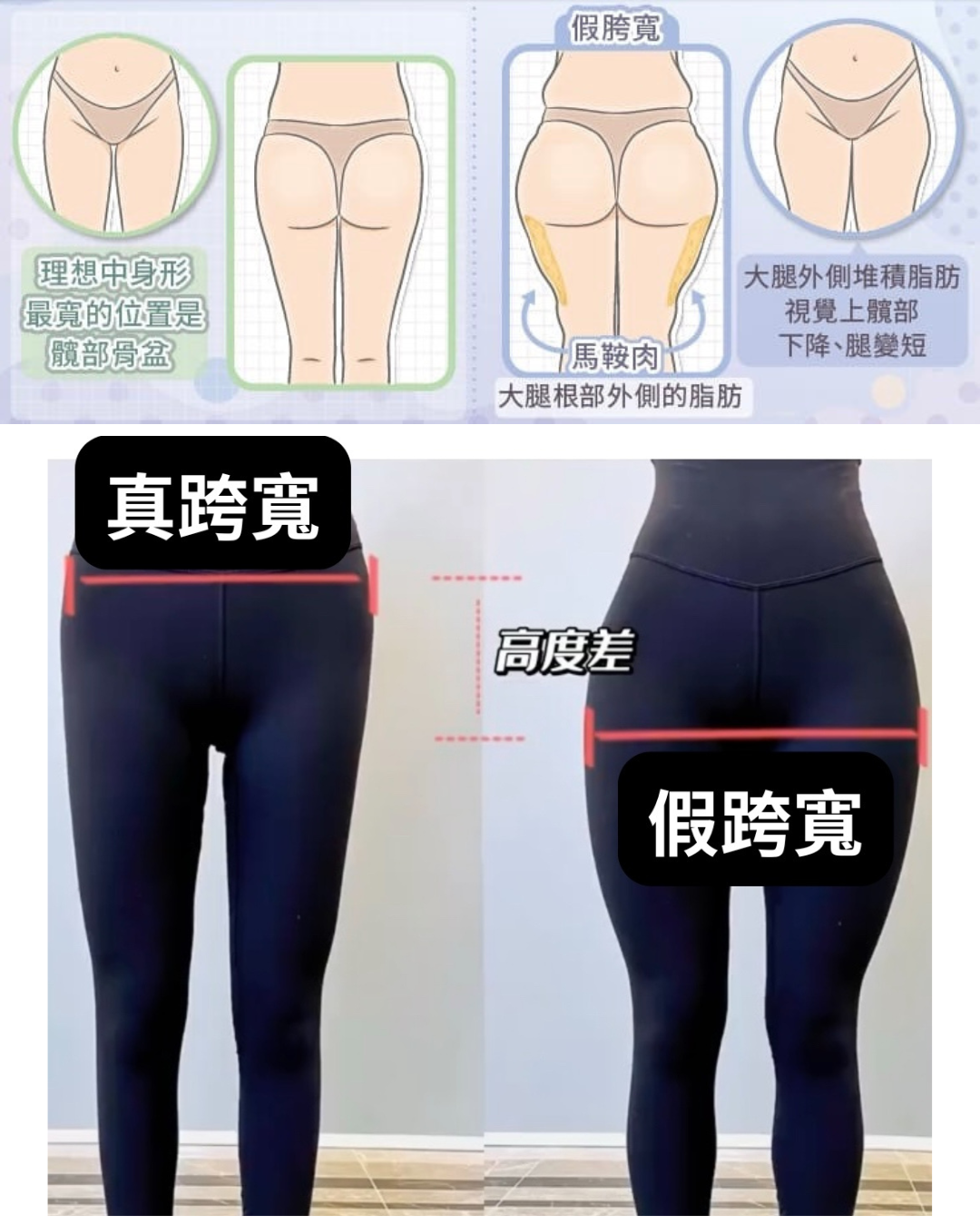 真跨寬與假跨寬外觀示意，比較骨盆髖部與大腿根部的寬度位置差異